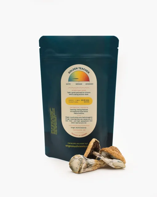 Golden Teachers Magic Mushrooms 5 Origin GoldenTeacher1 510x638 1