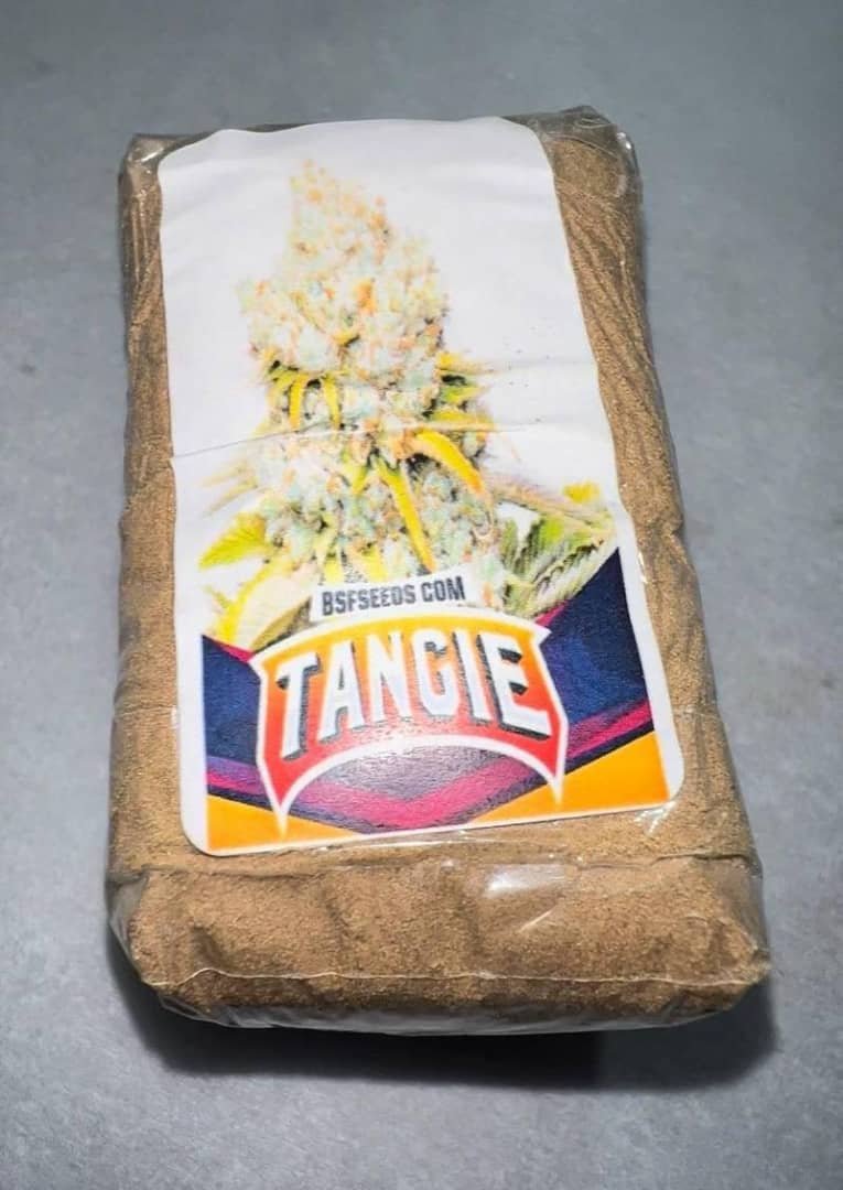Tangie Hash 2 WhatsApp Image 2025 12 27 at 05.36.48