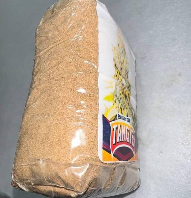 Tangie Hash 4 WhatsApp Image 2025 12 27 at 05.36.49