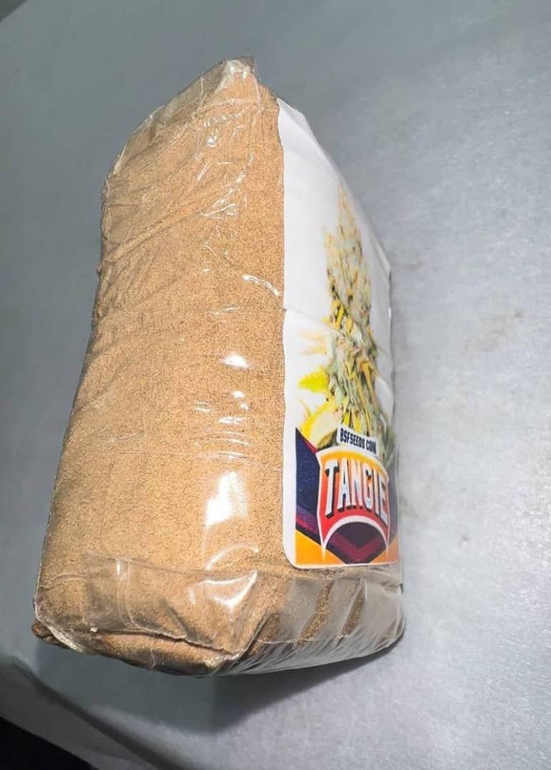 Tangie Hash 3 WhatsApp Image 2025 12 27 at 05.36.49
