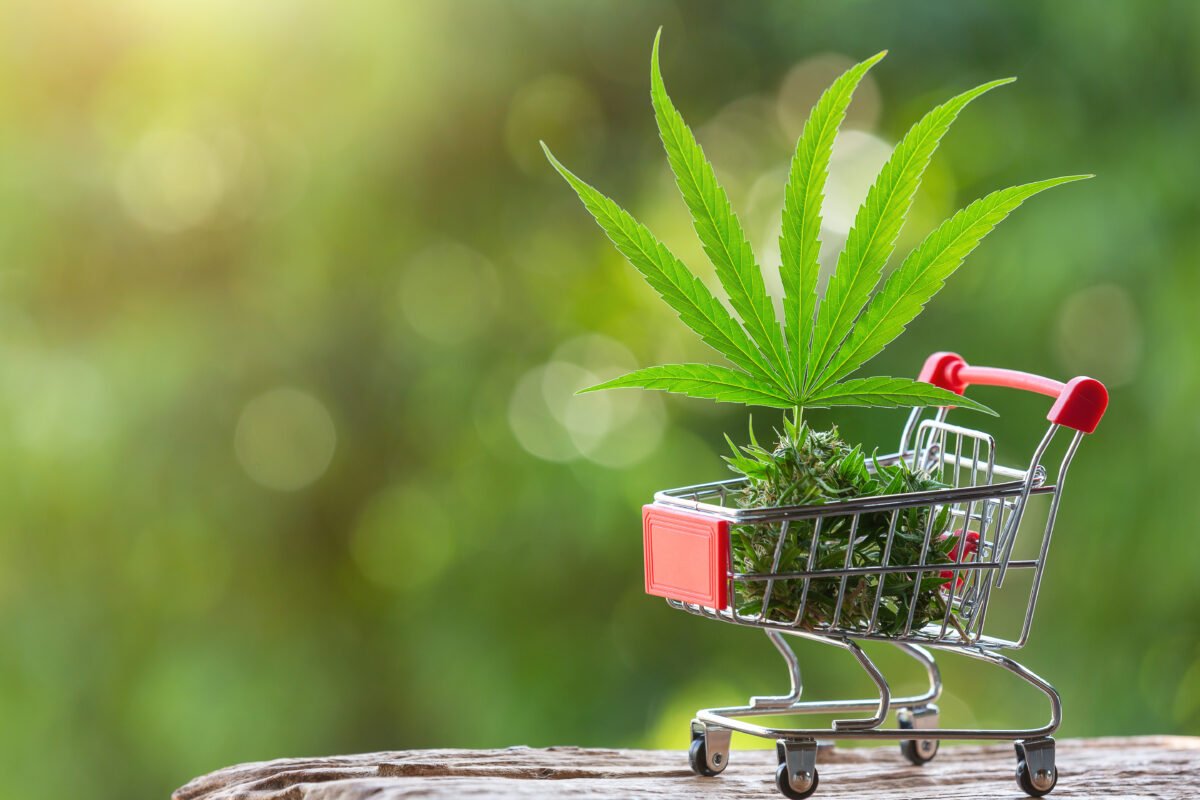 cannabis leaves shoots placed shopping cart