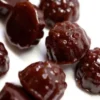 Dames Gummy Co. – Shroom Gummies (1500mg) 1 dames