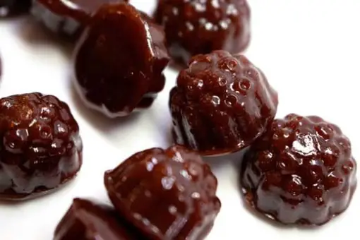 Dames Gummy Co. – Shroom Gummies (1500mg)