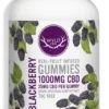 BLACKBERRY GUMMIES 1 gummies pic